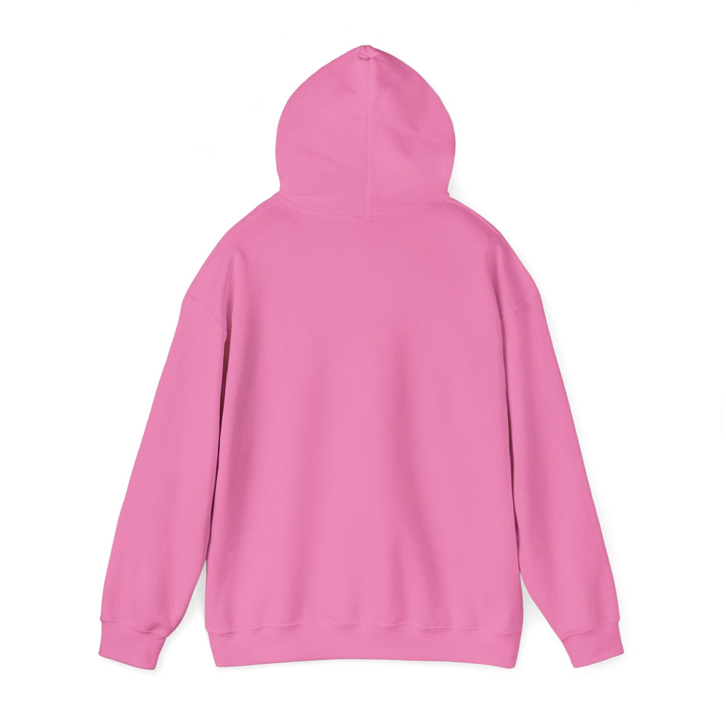 Fun Quote Spoiler-in-Chief Hoodie