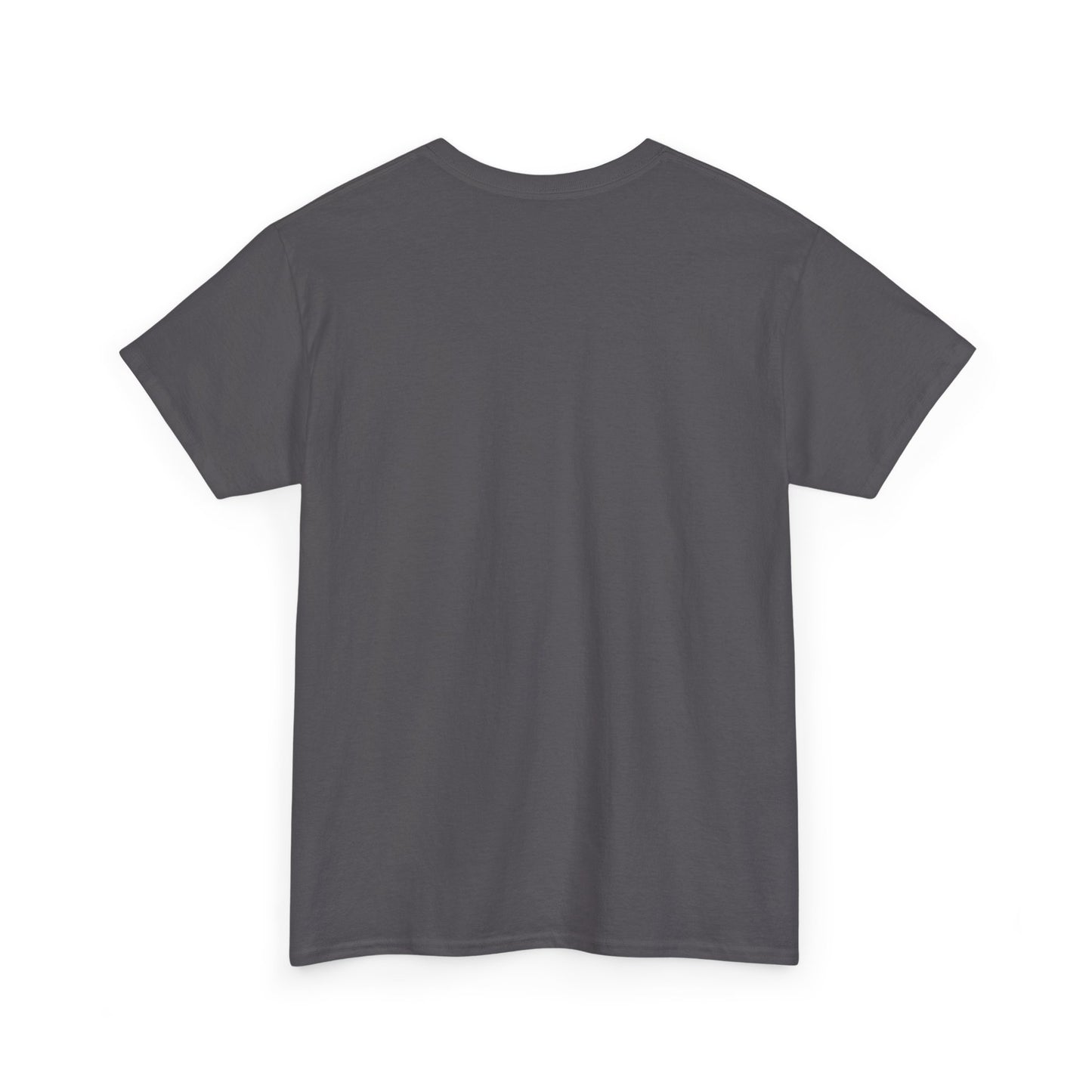 From Womb To Room Unisex Heavy Cotton Tee