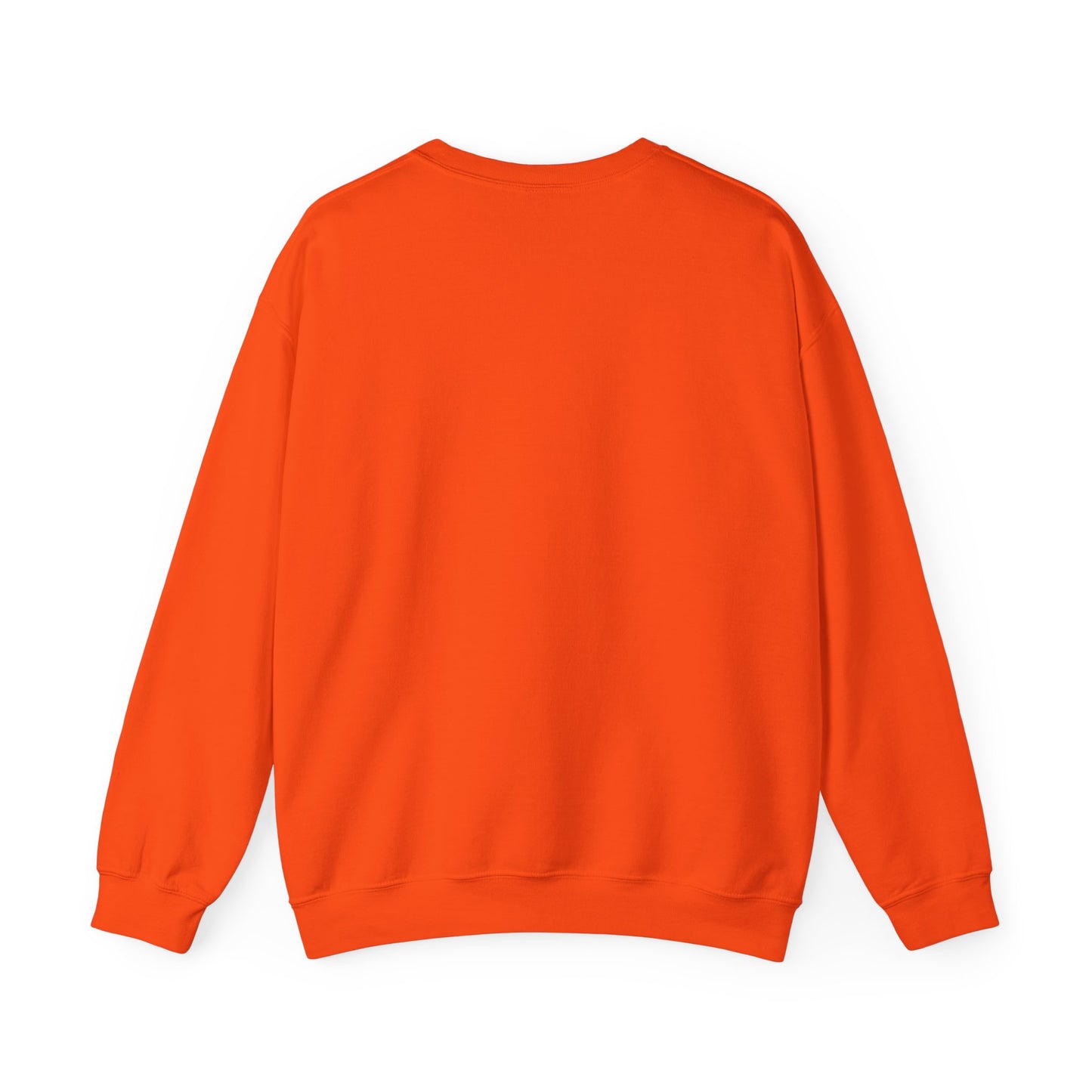 Baby's Security Detail Sweatshirt