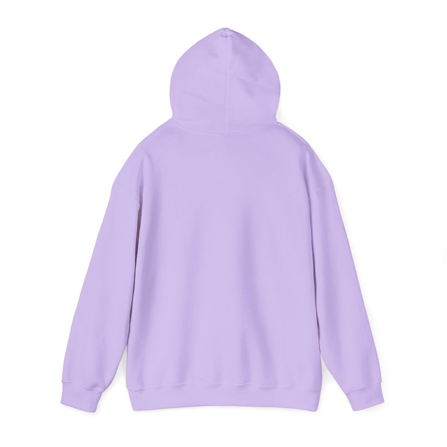 Fun Quote Spoiler-in-Chief Hoodie