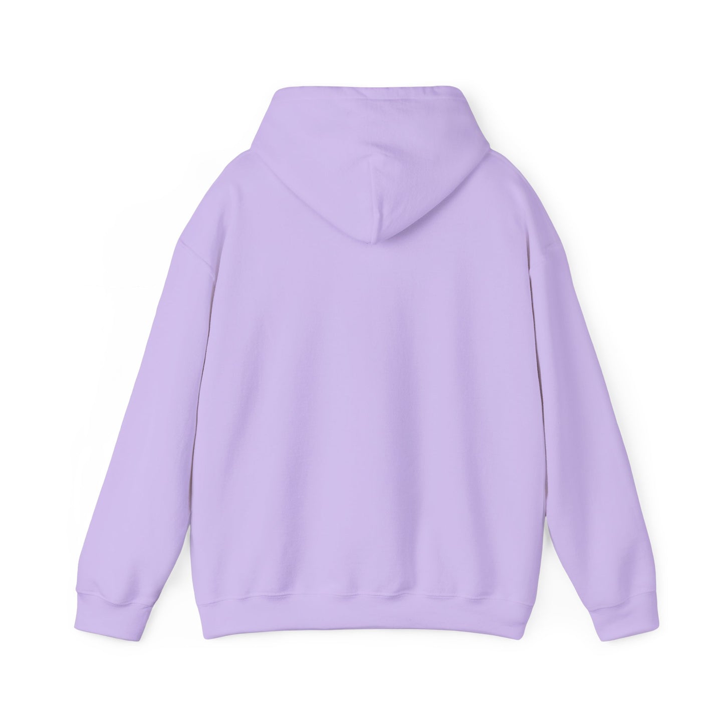 Fun Quote Spoiler-in-Chief Hoodie