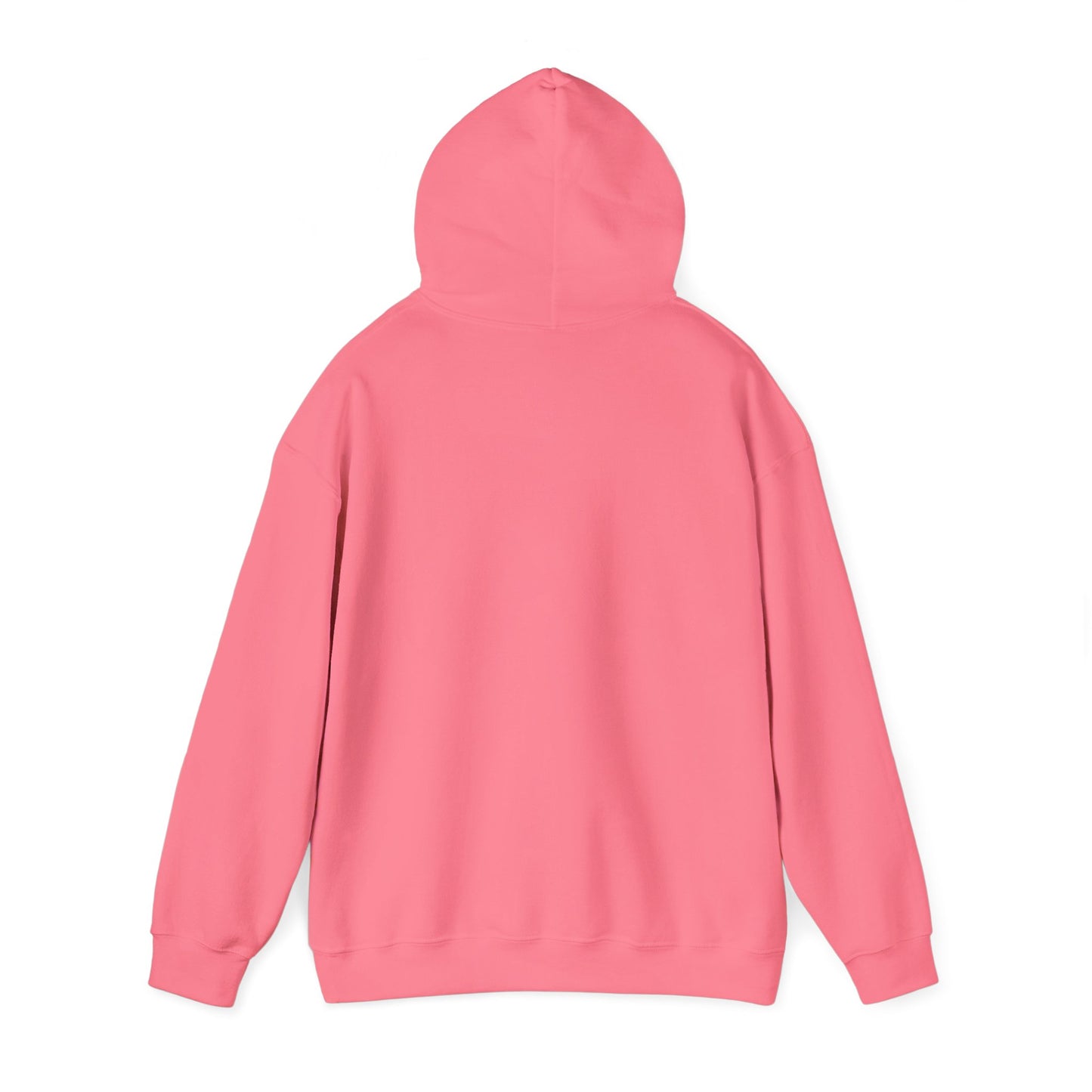 Fun Quote Spoiler-in-Chief Hoodie