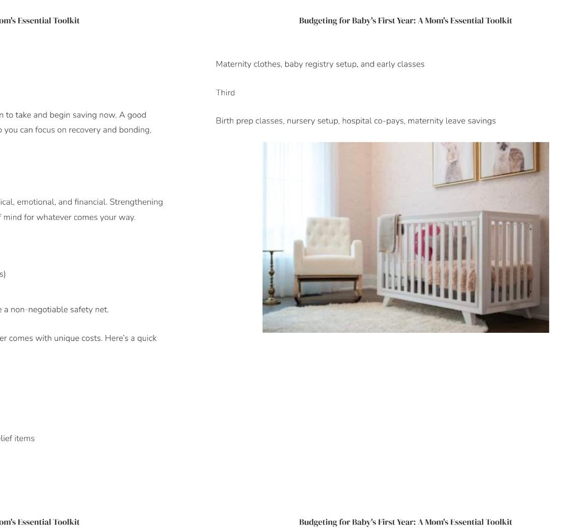 Budgeting for Baby- Flip- Book