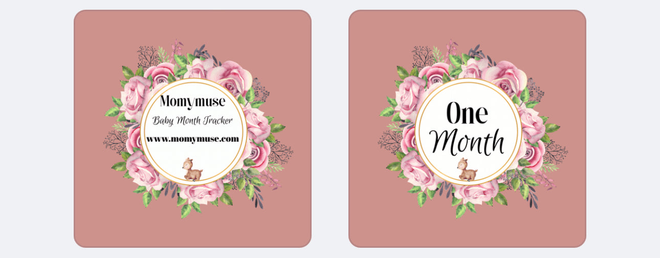 Printable Dusty PINK Magical Baby Monthly Tracker