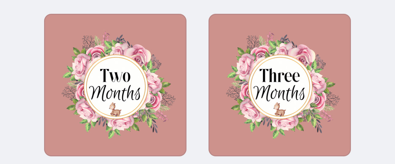 Printable Dusty PINK Magical Baby Monthly Tracker