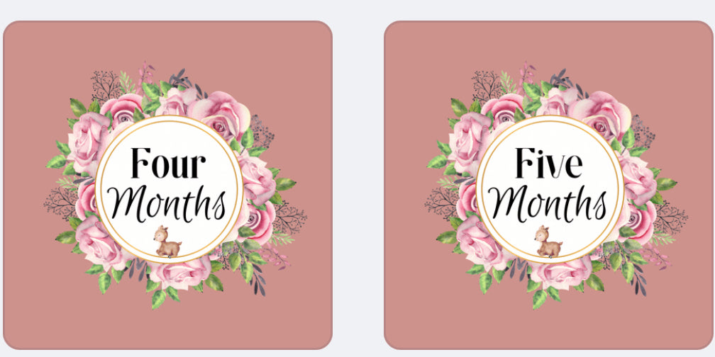 Printable Dusty PINK Magical Baby Monthly Tracker