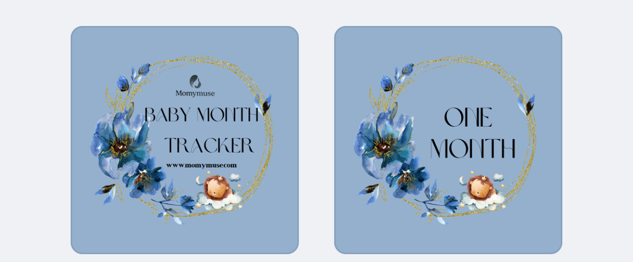 Printable Dusty Blue Magical Baby Monthly Tracker