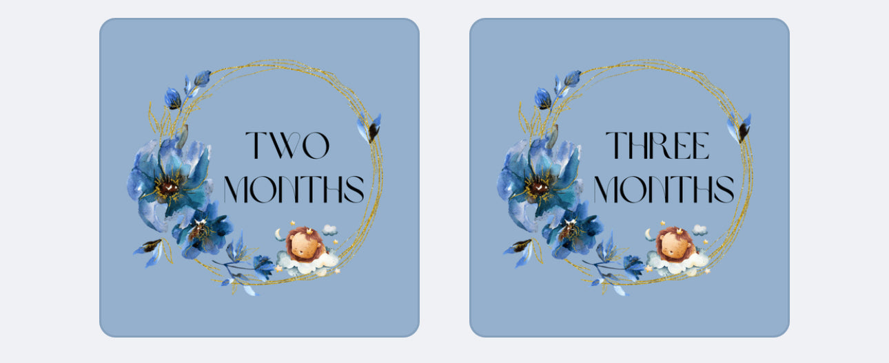 Printable Dusty Blue Magical Baby Monthly Tracker