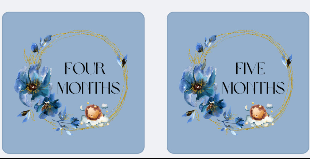 Printable Dusty Blue Magical Baby Monthly Tracker