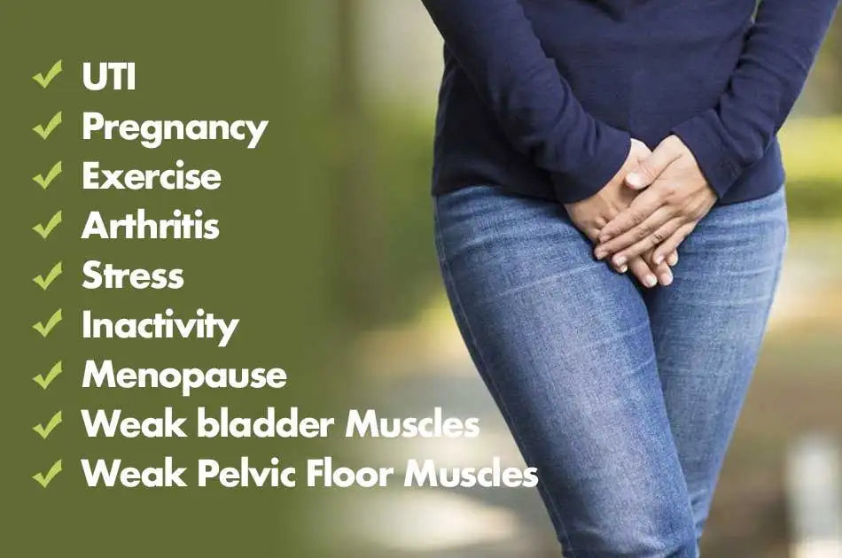 4 Layer Leakproof Period Underwear for Women