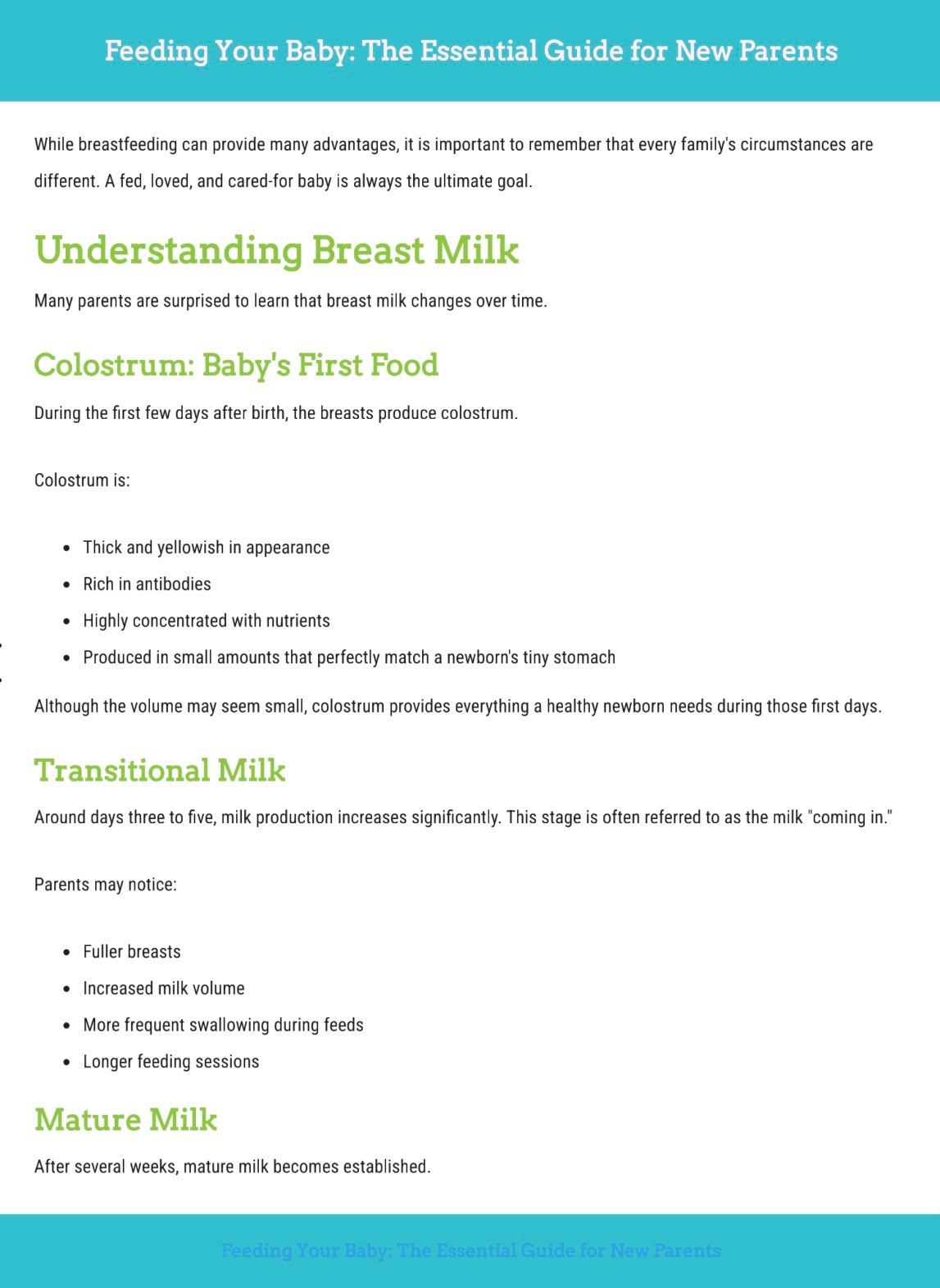 Feeding Your Baby: A Complete Guide Bundle