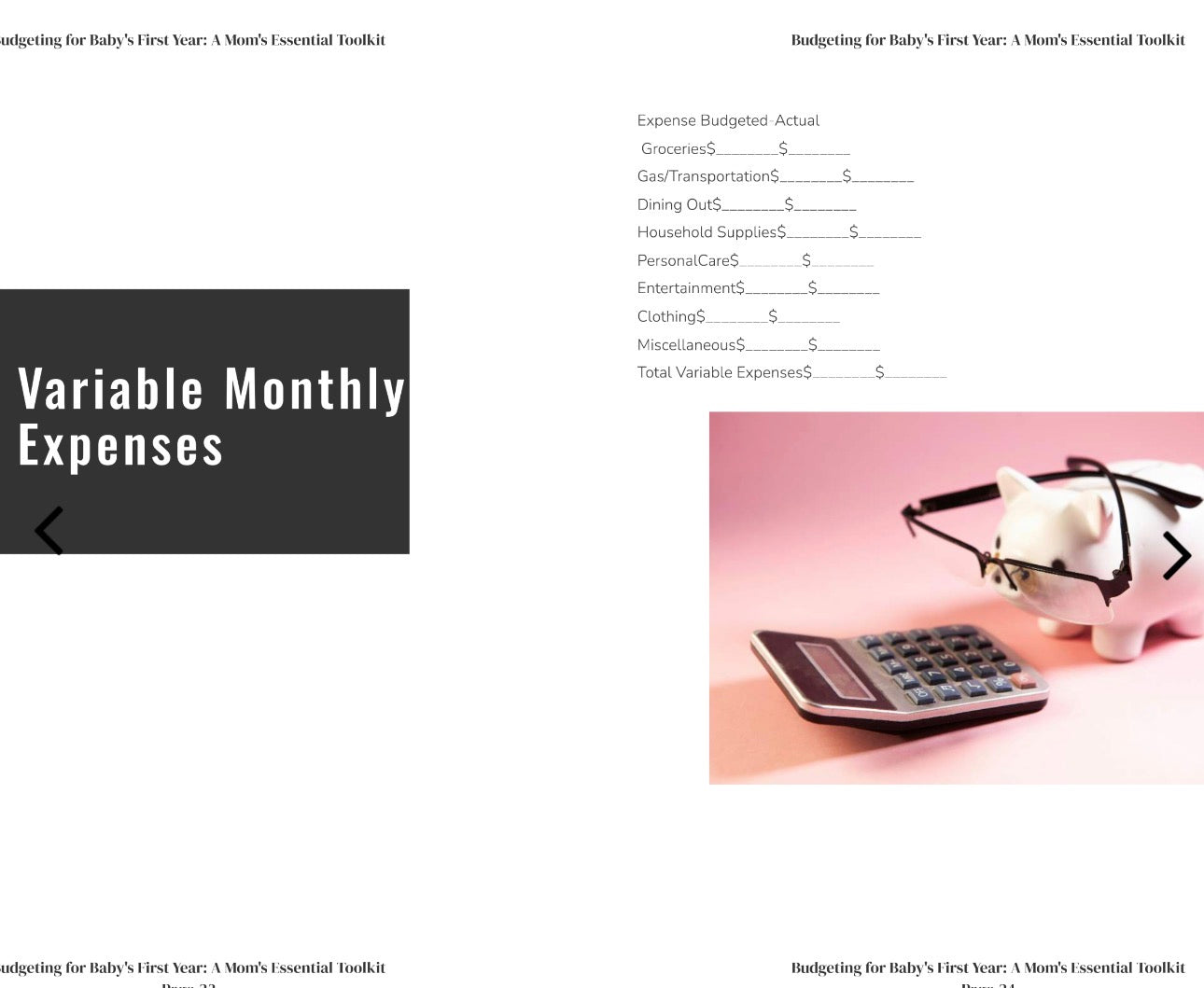 Budgeting for Baby Bundle