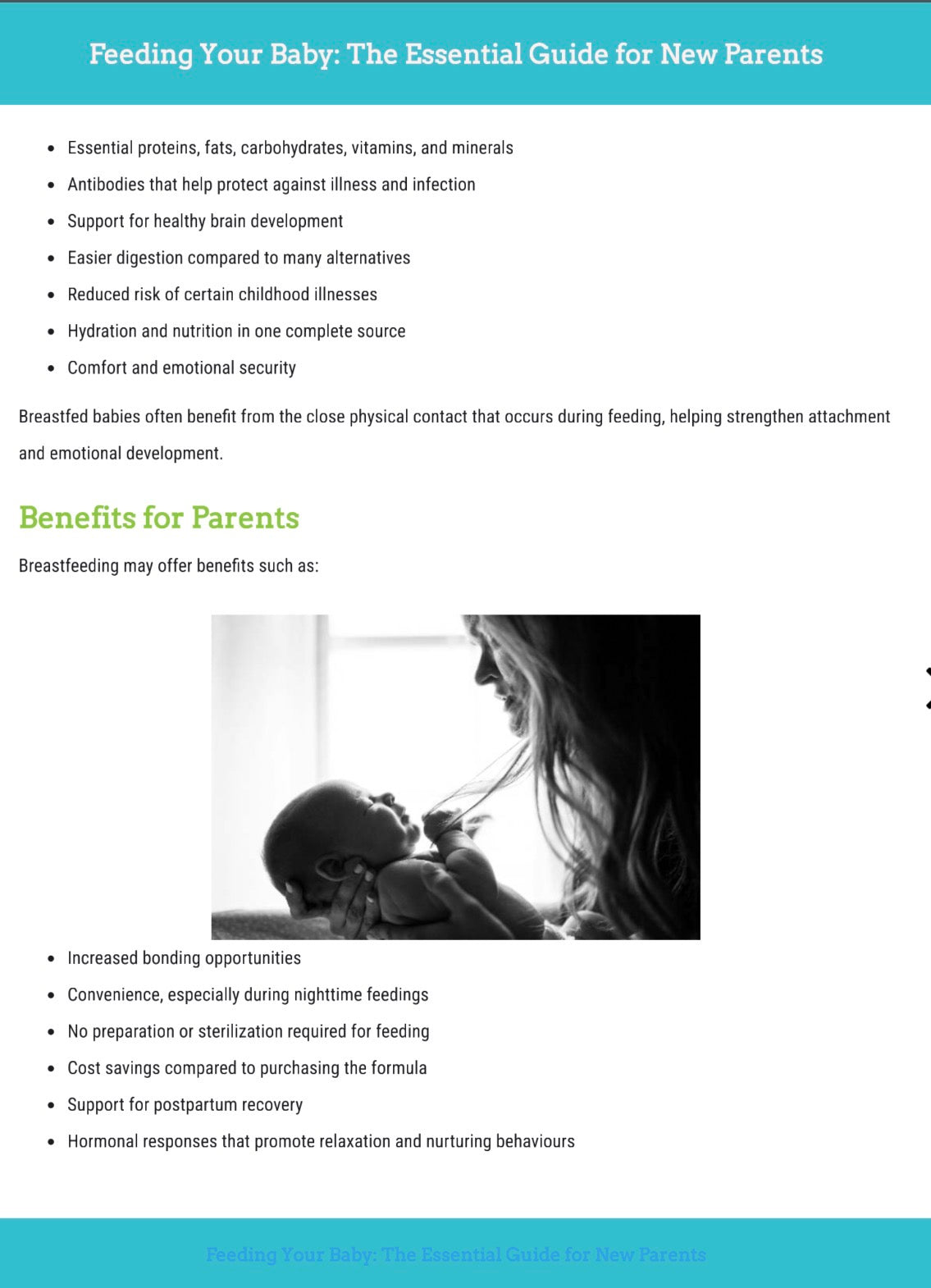 Feeding Your Baby: A Complete Guide Bundle