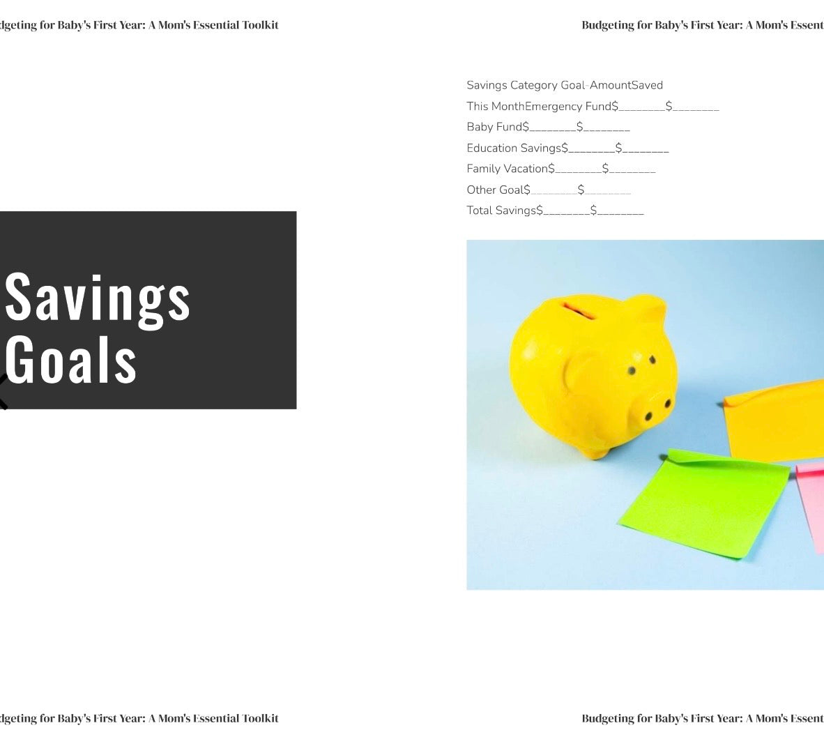 Budgeting for Baby Bundle