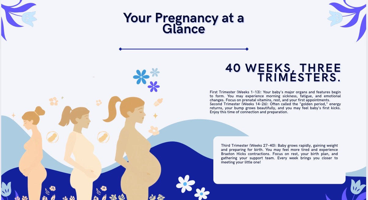 Momymuse Printable Pregnancy Gentle Journey Journal- blue