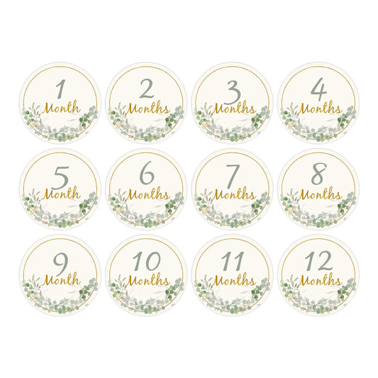 12PCS Baby Photography Cards 1-12 Month