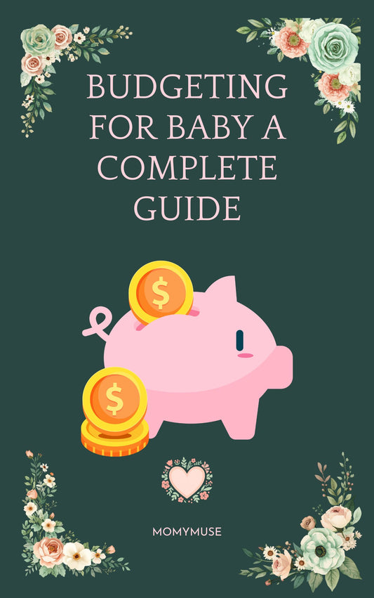 Budgeting for Baby- Flip- Book